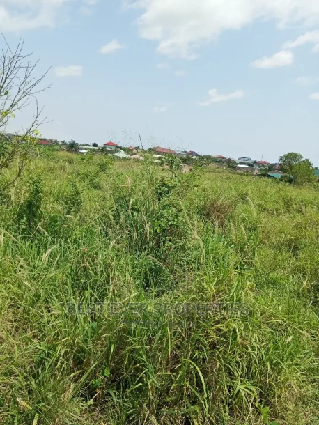 An Acre of Land for Sale-3