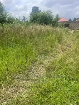 Half Plot for Sale at Amasaman Cocoboard-3