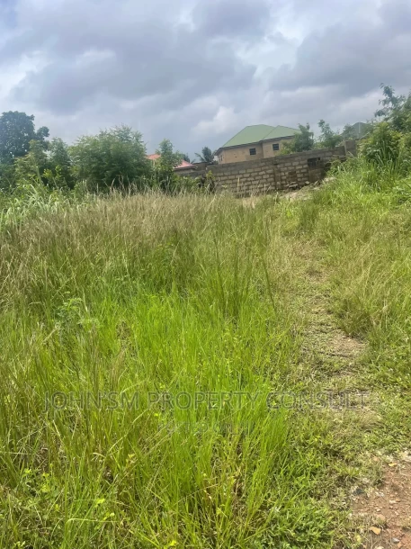 Half Plot for Sale at Amasaman Cocoboard-6