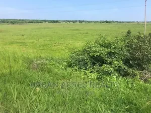 TEMA-AFLAO ROAD, DAWA, G/A - 1 Acre Commercial Land-2